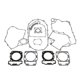 thumbnail image 1 of Reemplazo completo de los componentes del kit de reparación del sellador de juntas para el motor CF800 Macarena Junta completa del motor, 1 of 6