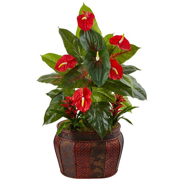 Jardinière 45 Po. Anthurium Mixte & Bromélie