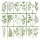 thumbnail image 2 of 18pcs Grass Template Roll Grass Pattern Painting Template Hollow Out Painting Template Hand Drawn Graffiti Spray Pattern Painting Assistance, 2 of 4