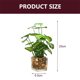 thumbnail image 2 of Laklulu Plantas verdes artificiales en escritorio y frasco de vidrio transparente, 2 of 5