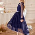thumbnail image 6 of Luxalzxs Girls Party Dress Mesh Long Sleeve Twirly High Low Hem Birthday Wedding Formal Princess Dress Round Neck Flowy A Line Tulle Dress Performance Dress for 3-12 Years, 6 of 7