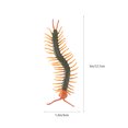 thumbnail image 3 of Shisuyan 1 Set Insect Model Toy Set Centipede Toy Set Life Cycle Demonstration Toy, 3 of 8