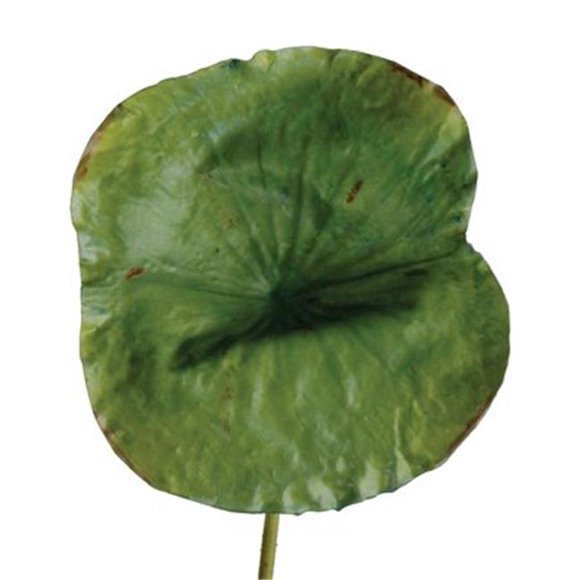 Distinctive Designs DG-658-GR DIY Foliage 28 in. L Artificial Large Green Lotus Leaf 24 per Case - Pack of 6