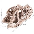 thumbnail image 3 of Dinosaur Skull Model, Practical Resin Dinosaur Skull, Gift Decoration For Living Room Office Desktop, 3 of 8