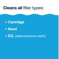 HTH Pool Filter Cleaner for Swimming Pools, 32 oz