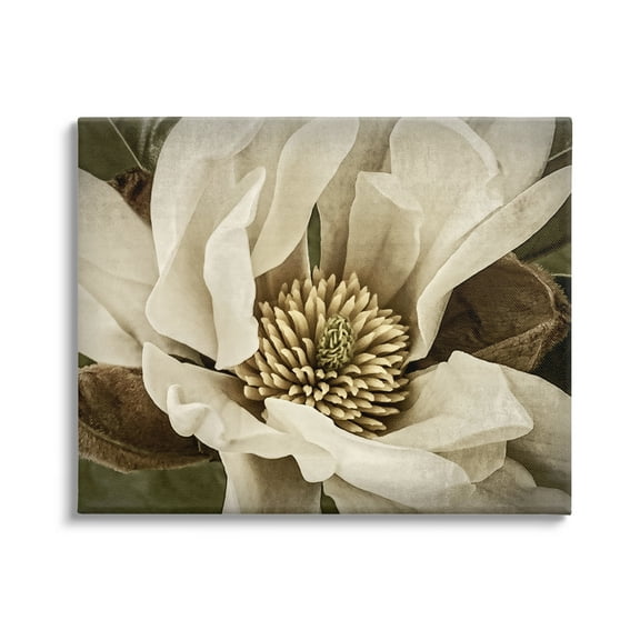 Stupell Industries Rustic Flower Close Up Botanical & Floral Photography Gallery Wrapped Canvas Art Print Wall Art, 30 x 24
