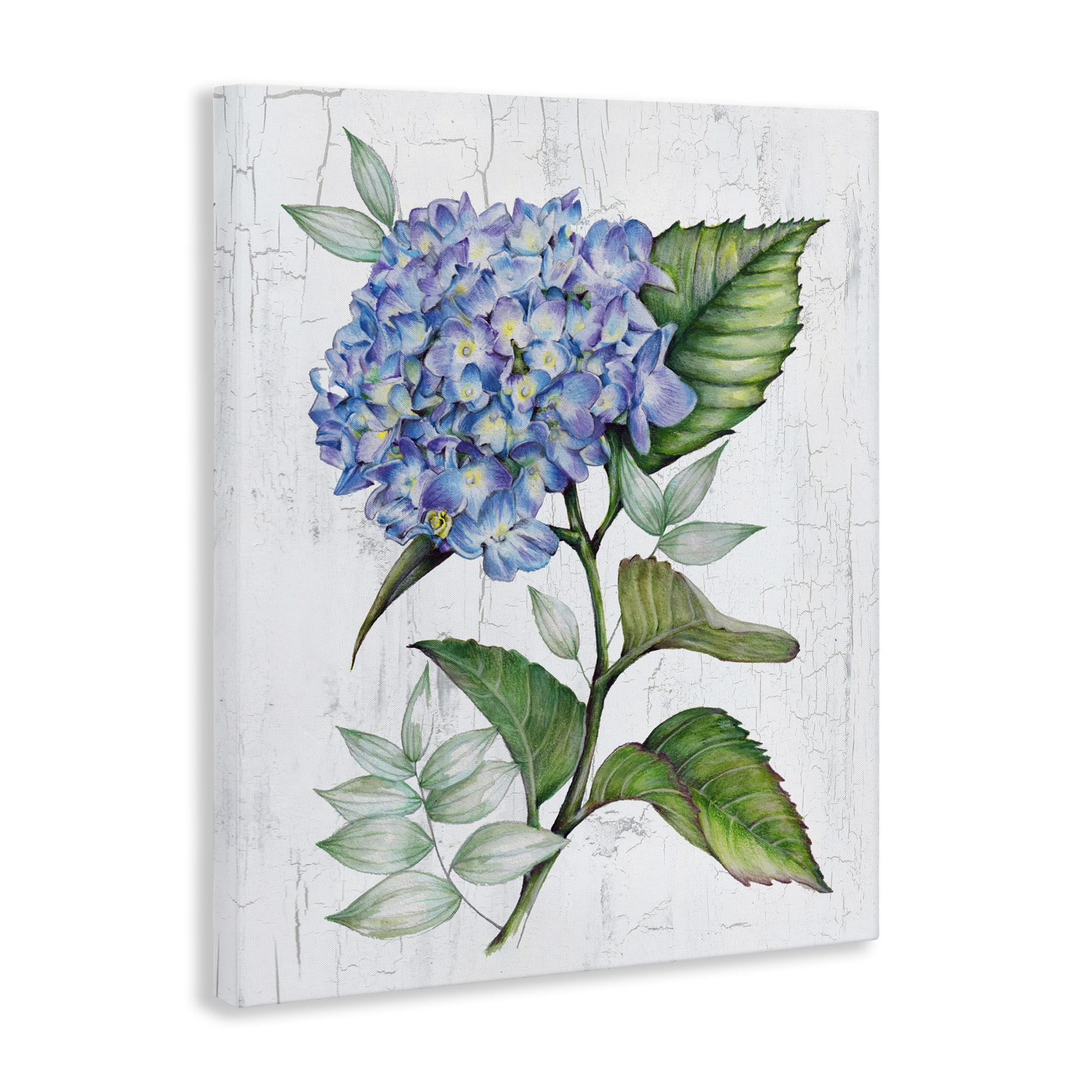Stupell Industries English Manor Hydrangea Plants & Flowers Painting Wrapped Canvas Art Print Wall Art, 30 x 40