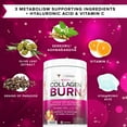 thumbnail image 3 of Vitauthority Multi Collagen Peptides Hydrolyzed Collagen Burn Powder, Strawberry Lemonade, 11.4 oz, 3 of 8