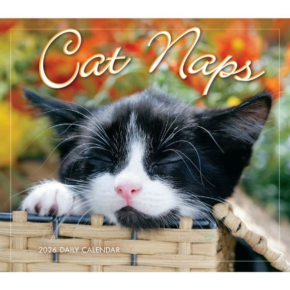 Sellers Publishing, Cat Naps 2026 Desk Calendar, 5.9'' X 5.2'', Daily Calendar with Adhesive Binding
