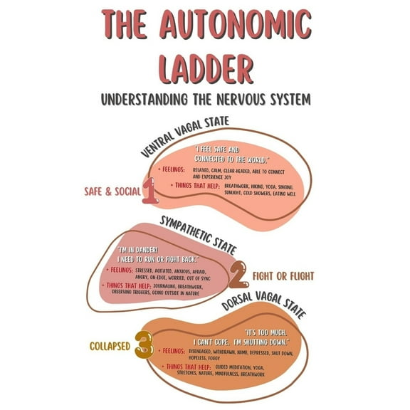 Autonomic Ladder Poster, Boho Mental Health Posters, Counseling Office Printed Wall Decor, Classroom Wall Art