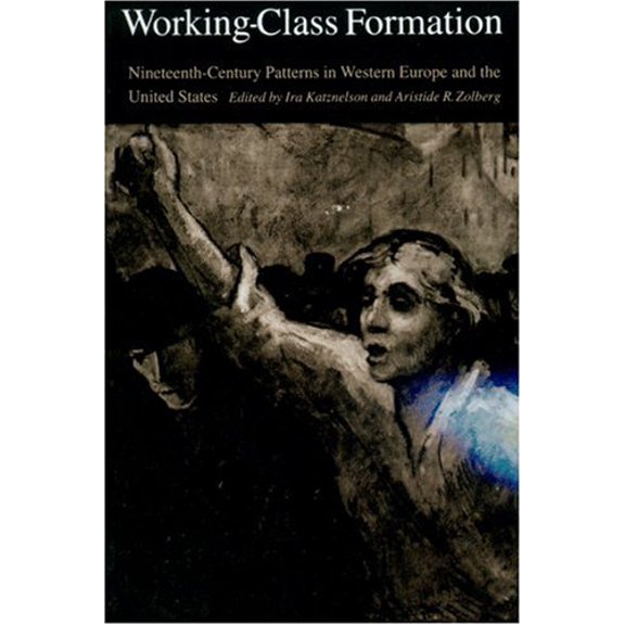 Pre-Owned Working-Class Formation : Ninteenth-Century Patterns in Western Europe and the United States (Hardcover)