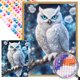thumbnail image 1 of (ZQS3618-AB) Diamante AB parcial diamante búho serie Animal diamante resina 40*55 CM tamaño lienzo 45*60 CM, 1 of 9