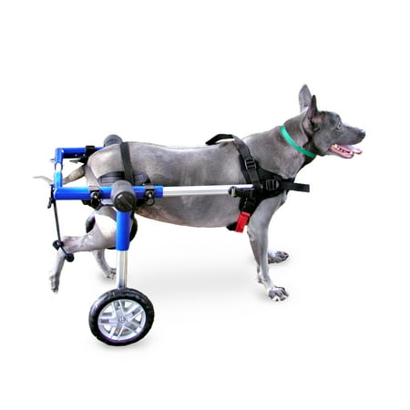 Dog Wheelchair - For Medium Dogs 26-49 lbs - Veterinarian Approved