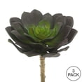 thumbnail image 3 of Vickerman 5.75" Artificial Green Echeveria Pick, Set of 3, 3 of 4