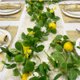 thumbnail image 1 of Guirnalda de frutas artificiales, enredaderas, colgante de plástico, plantas decorativas para el hogar, limones amarillos falsos, limones verdes de simulación, ratán, 1 of 5
