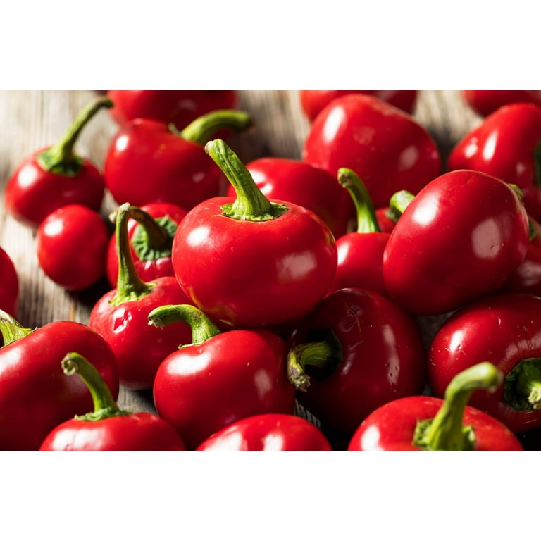 100 Red Cherry Hots Pepper Seeds - Finger Hots, Hot Cherry Pepper Variety By Seedville USA