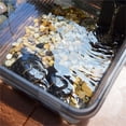 thumbnail image 4 of Turtle breeding tank ecological small amphibious household turtle breeding, 4 of 5