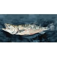 thumbnail image 2 of Caroline, Emma 14x9 Black Ornate Wood Framed with Double Matting Museum Art Print Titled - Hungry Fish I, 2 of 4