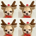 thumbnail image 1 of LSLJS Fruit Turned Into Dogs, Cats, Dogs, Autumn and Winter Sweaters, Fleece Clothes, Dog Birthday Party Supplies, Pet Clothes, 1 of 6