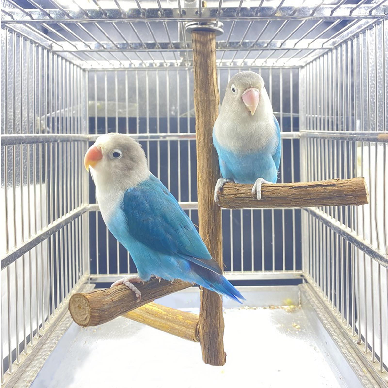 Cockatiel Macaws Natural Tree Branch Birdcage Pole with Green Leaves Parrot Chew Toys for Parrots Parakeets Conures WishLotus Bird Perches Paw Grinding Stick Budgie 