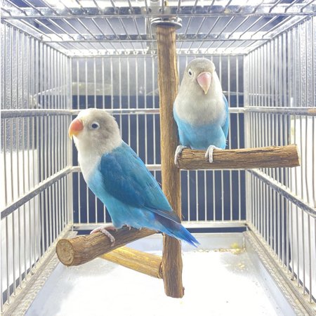 Perches, Wooden Pole, Hanging Training Toy, Claw Grinding ,Chew Bite Budgies/Macaws/Cockatiels, Bird Cage Accessories