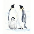 thumbnail image 3 of Green, Jacob 20x24 Black Modern Framed Museum Art Print Titled - Emperor Penguins II, 3 of 5