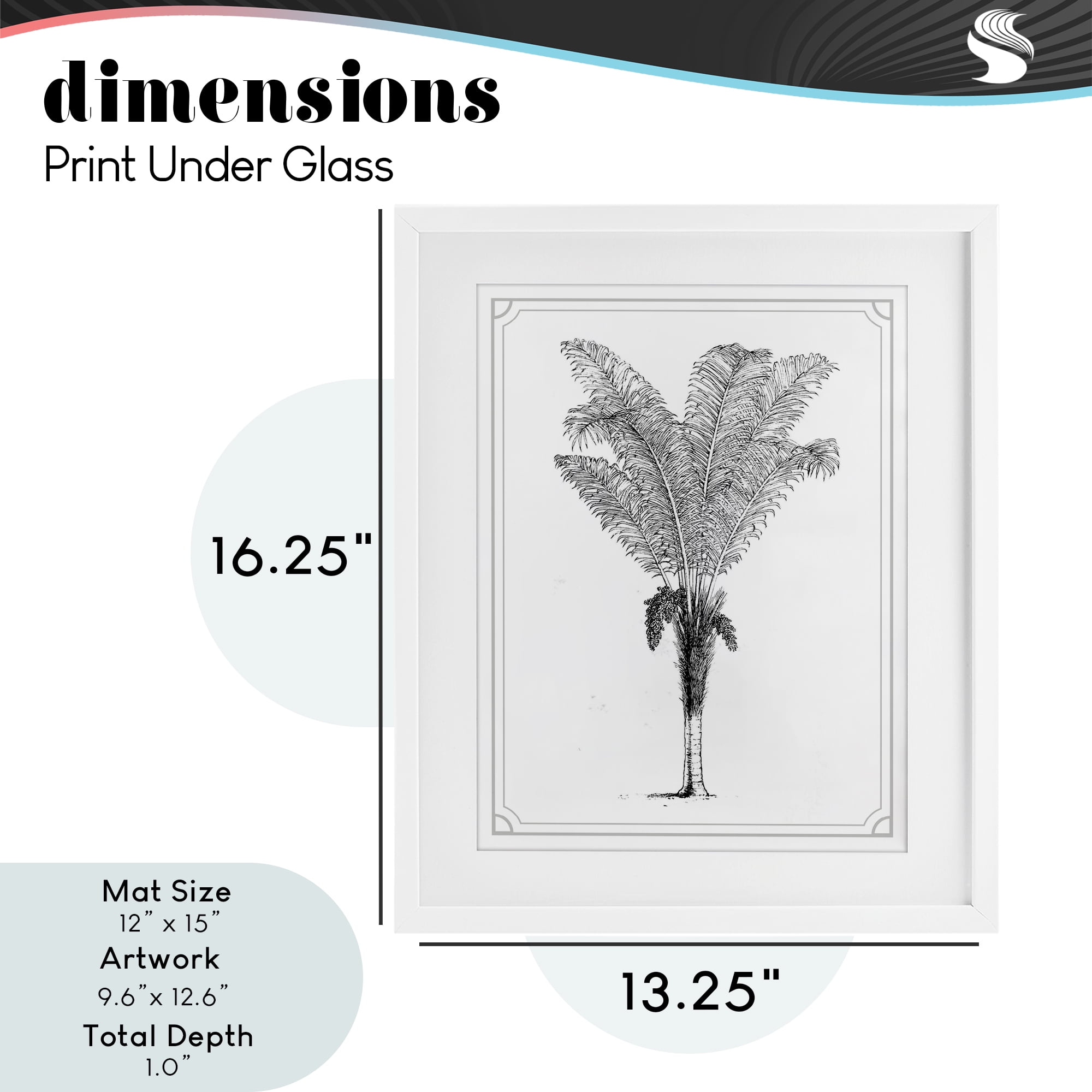 Vintage & Minimal Palm White Framed Print Under Glass, design by Lettered and Lined