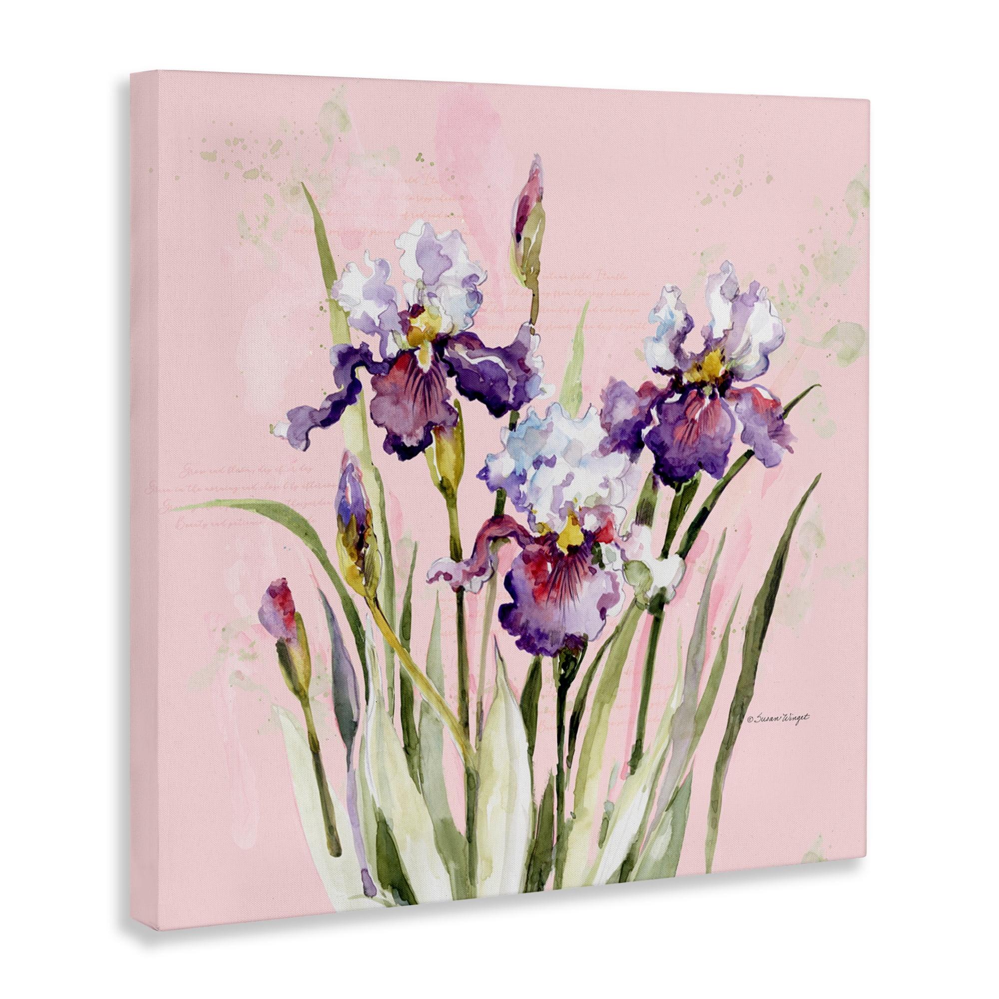 Stupell Industries Purple Irises on Pink Canvas Wall Art, design by Susan Winget