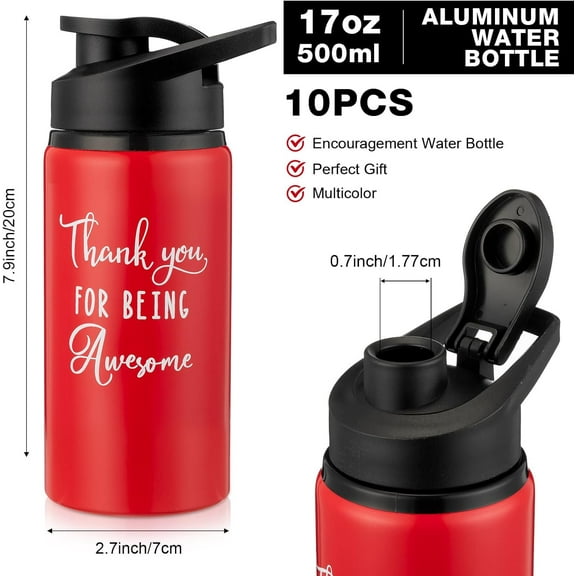 10 Pack Water Bottles