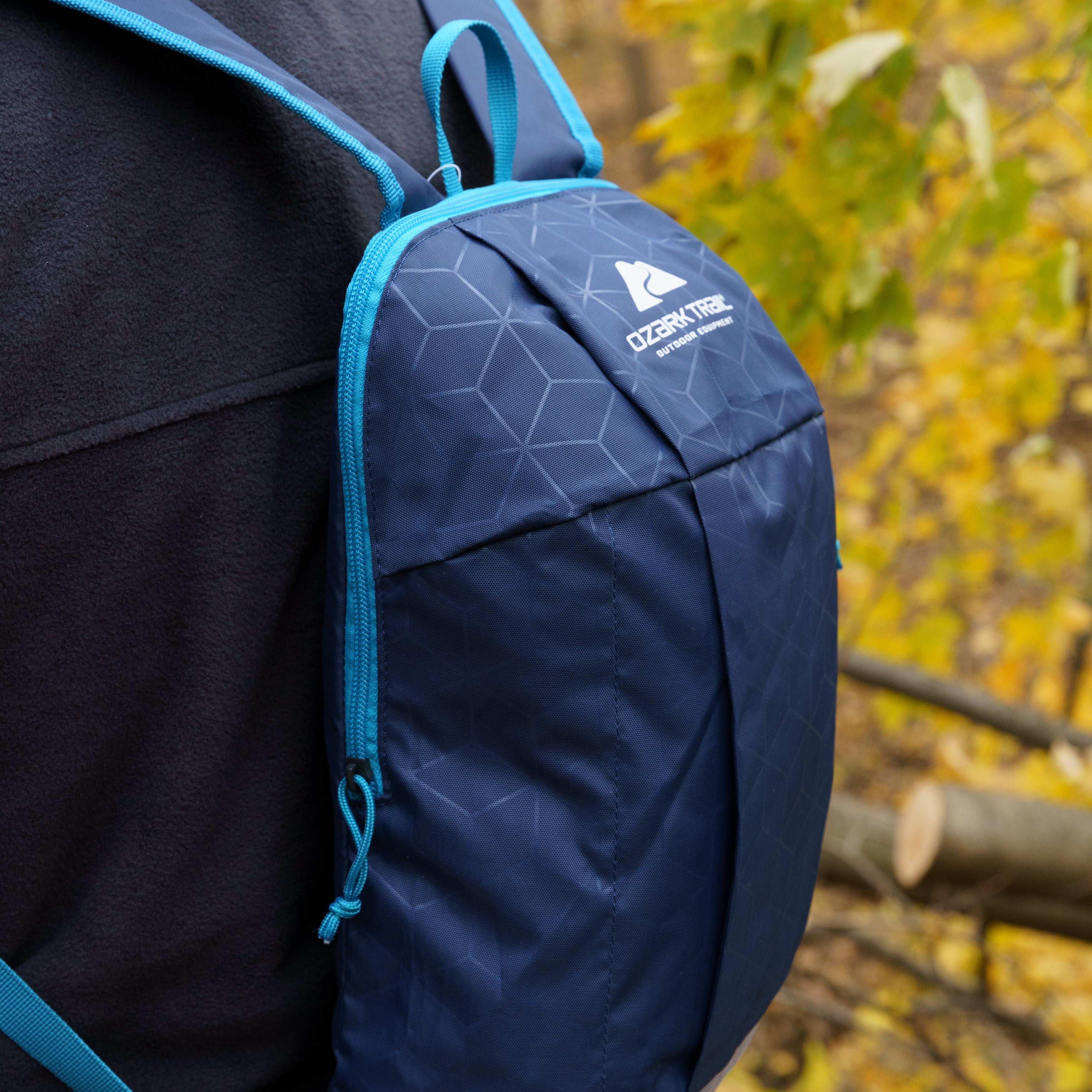 all red jansport backpack Jansport Big Student Backpack