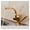 Gold no LED, variant on LED Or Not Black Kitchen Faucet Pull Out Bidet Spray Deck Mount Hot Cold Mixer Tap 360 Rotation Swivel Bathroom Sink Crane