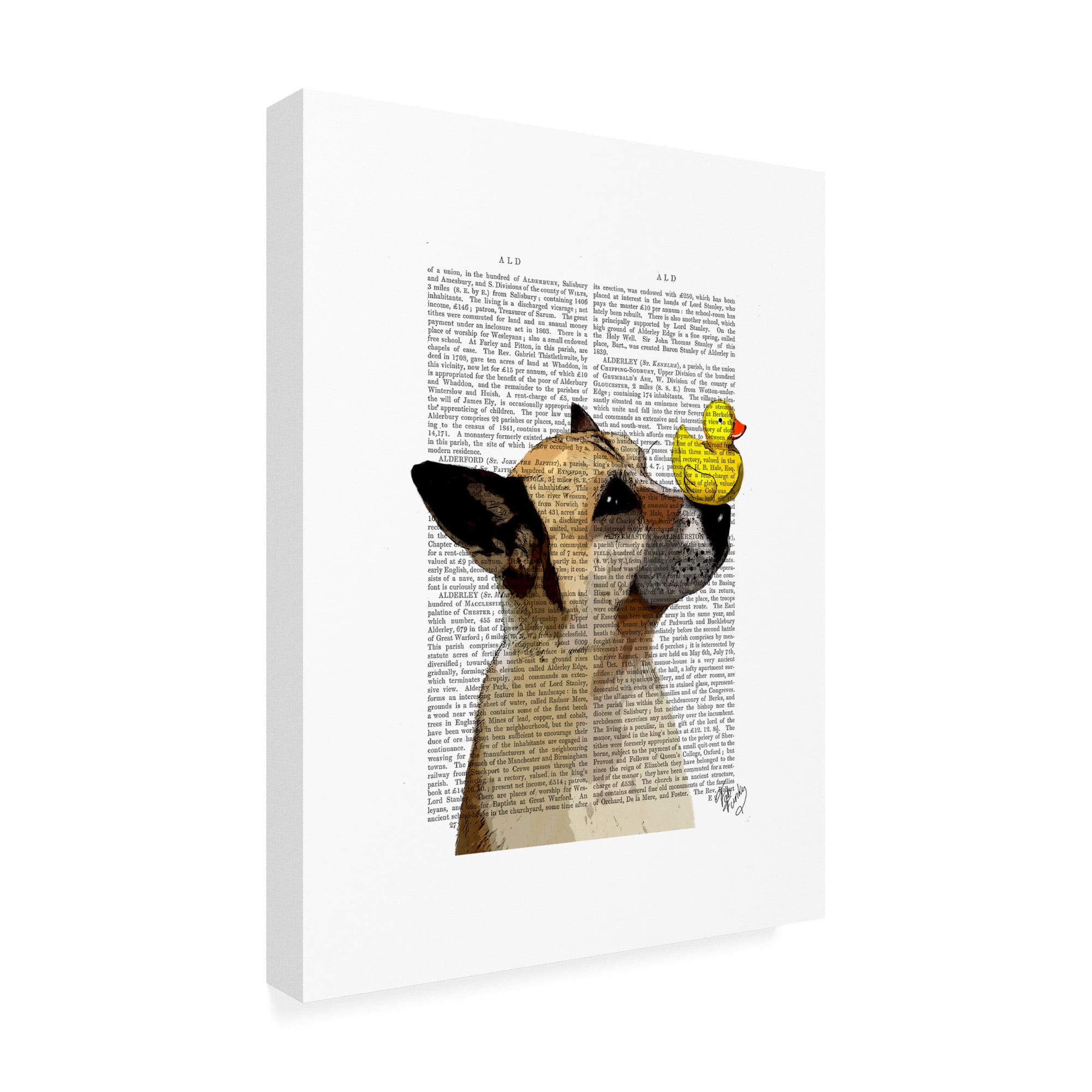 Trademark Fine Art 'German Shepherd, Dog And Duck' Canvas Art by Fab Funky