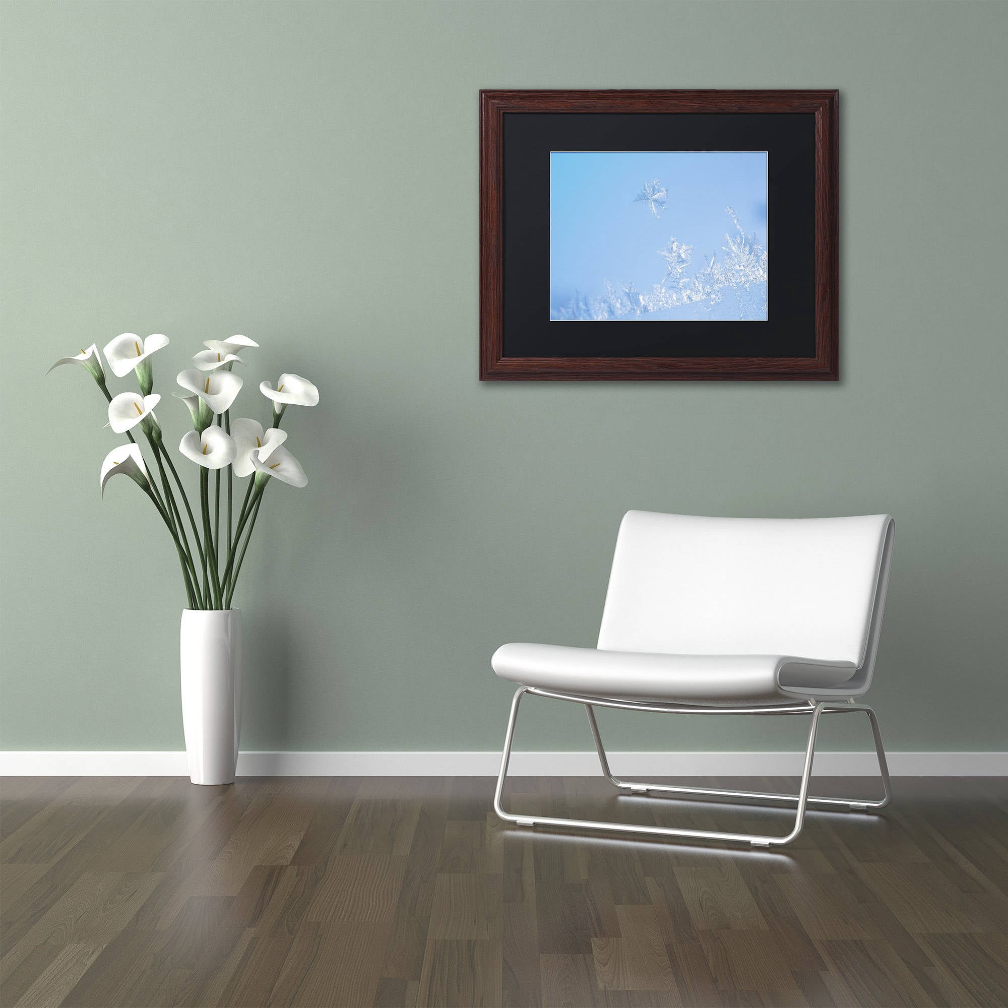 Trademark Fine Art "Window Frost" Canvas Art by Kurt Shaffer Black Mat, Wood Frame