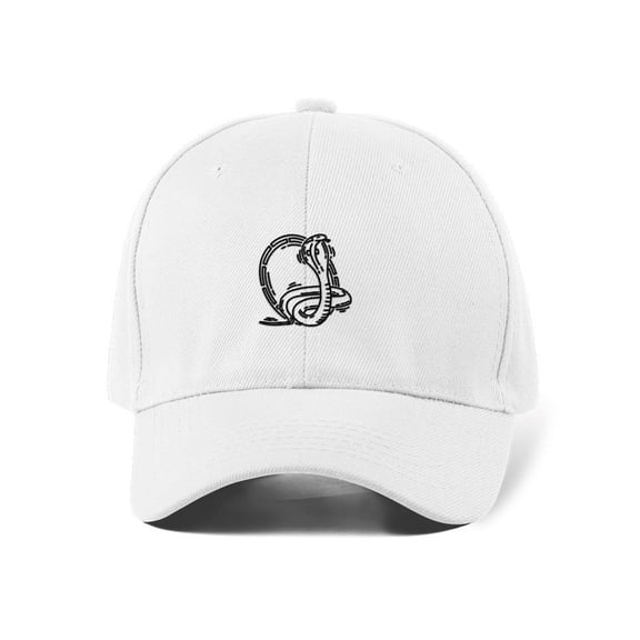 Snake Feng Shui Symbol Hat  -Image by Shutterstock,  Small