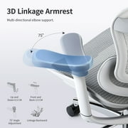 Sihoo Doro-C300 Ergonomic Chair, 3D Armrests Swivel Chair, Adaptive Lumbar Support Office Chair, Ergonomic Desk Chairs for Adults, Comfort Home Office Chair, Gray
