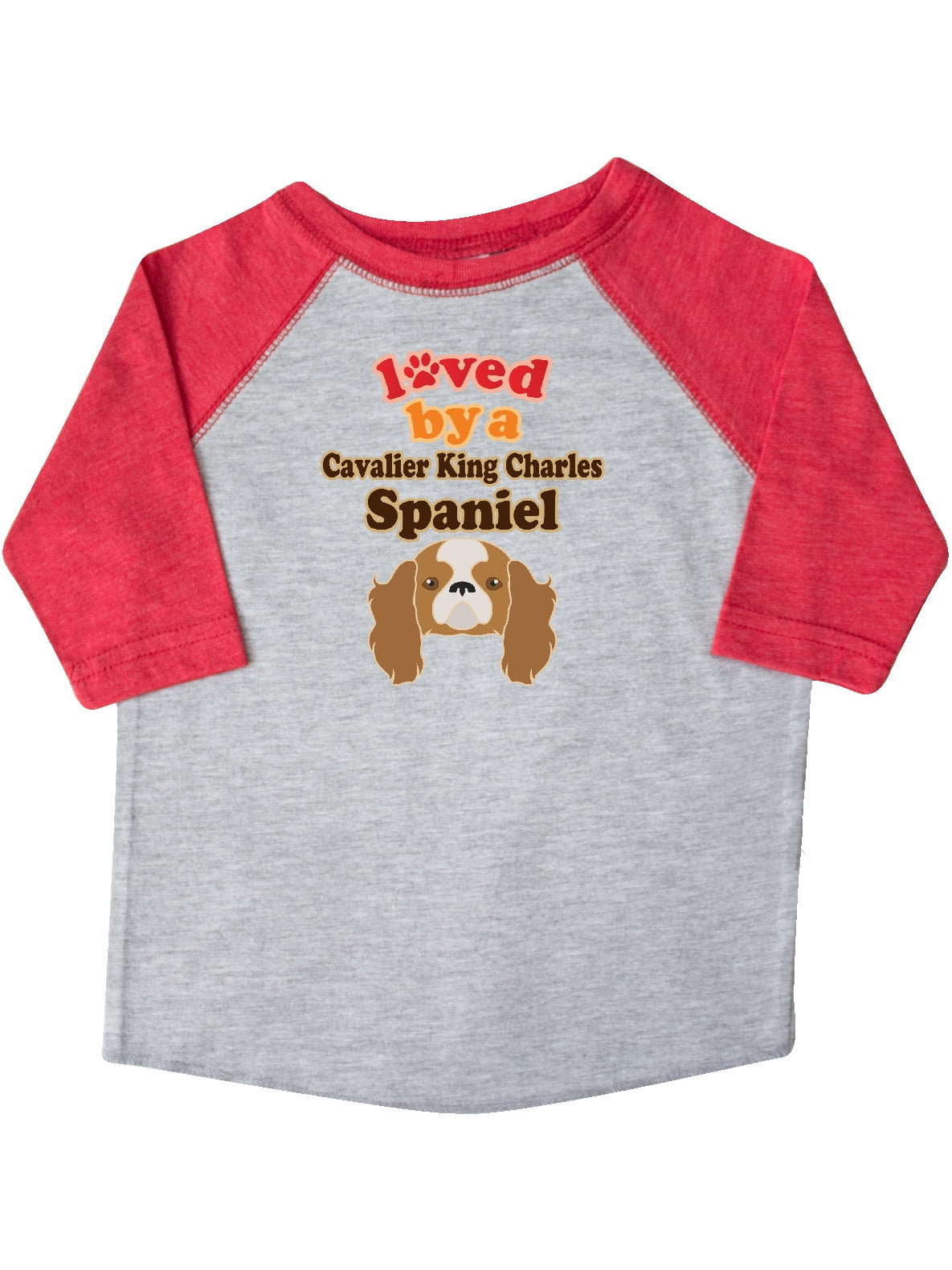 cavalier king charles t shirt