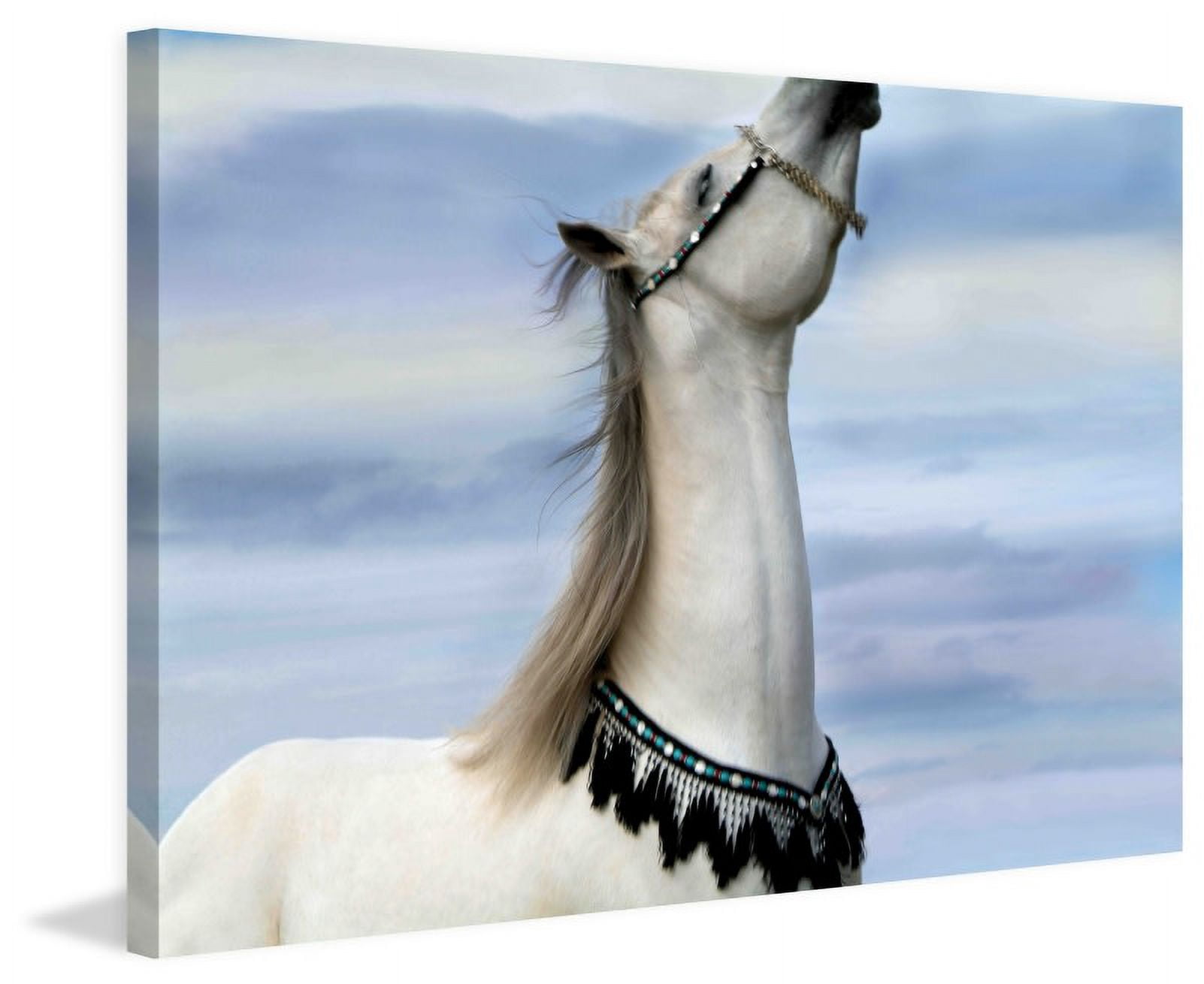 Marmont Hill "Lord of Prance" by Maggie Dee Painting Print on Canvas