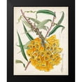 thumbnail image 2 of Curtis 15x18 Black Modern Framed Museum Art Print Titled - Delicate Tropicals VI, 2 of 5