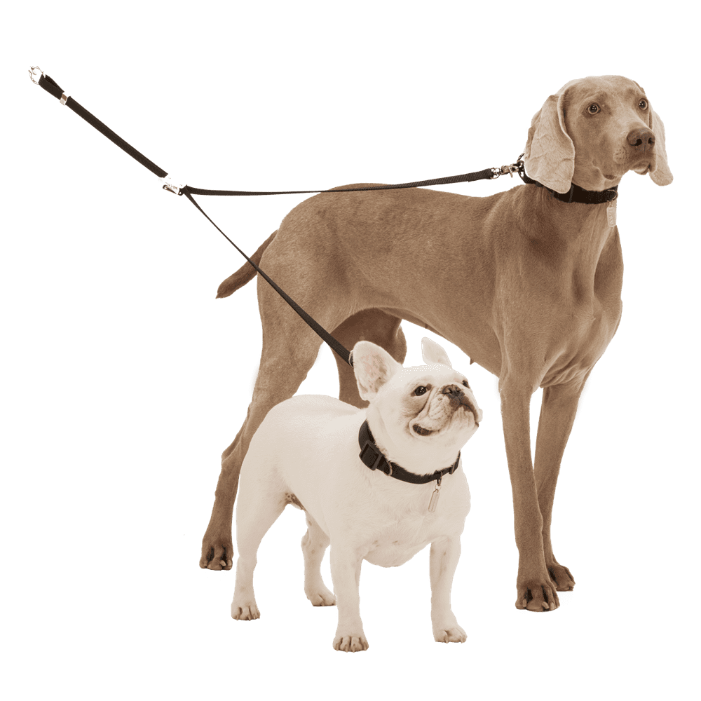 Yuppie Puppy Small to Extra Large 2 Dog Adjustable Coupler, Black