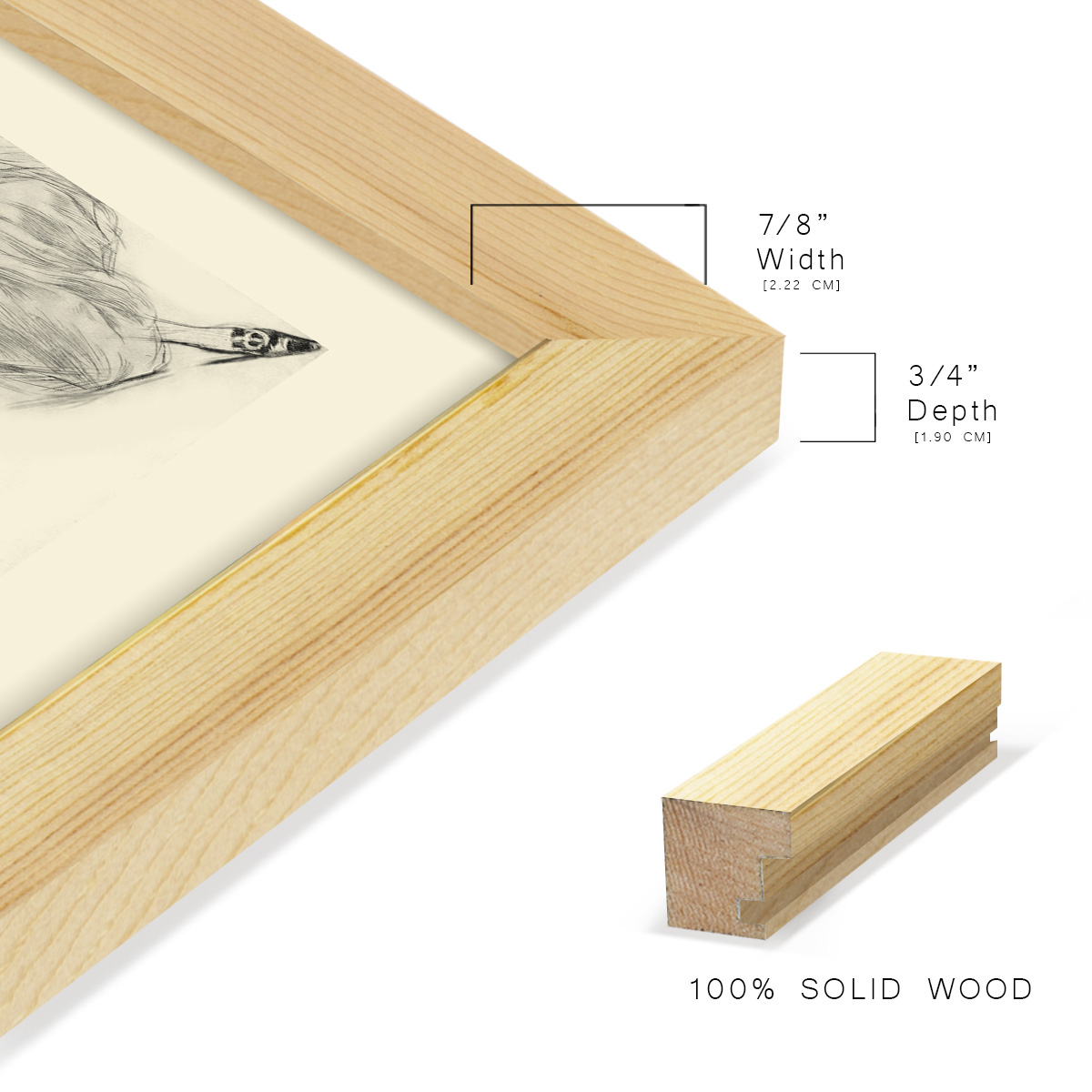 Feather Hat I -Framed Print w/glass-Natural Wood