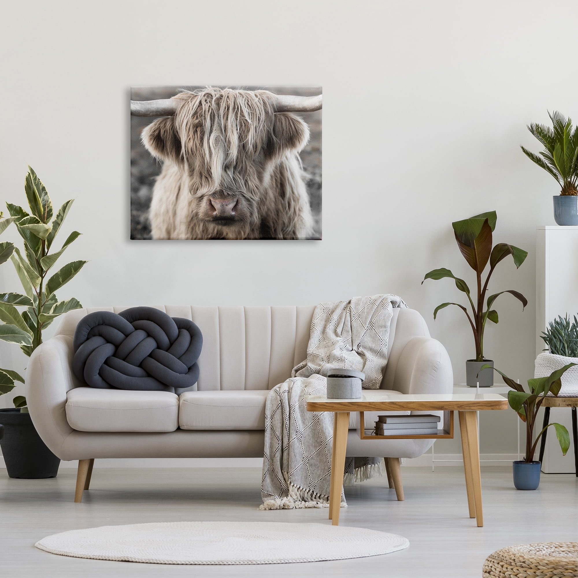 Stupell Industries Detailed Highlands Cattle Rural Farm Animal Photography Photograph Gallery Wrapped Canvas Print Wall Art, Design by Danita Delimont