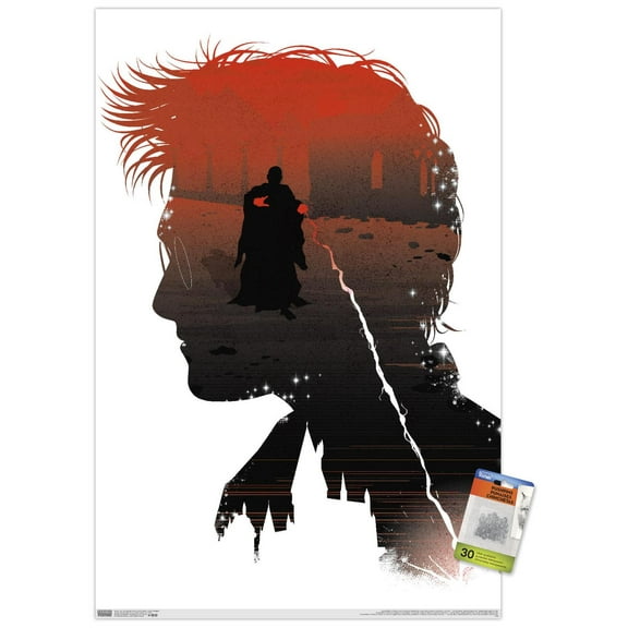 The Wizarding World: Harry Potter - Inner Struggle Wall Poster with Push Pins, 22.375" x 34"