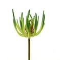 thumbnail image 1 of Vickerman VICK-FO180401 Vickerman 7 Pouces Vert Jade Pick 3/Pk - FO180401, 1 of 3