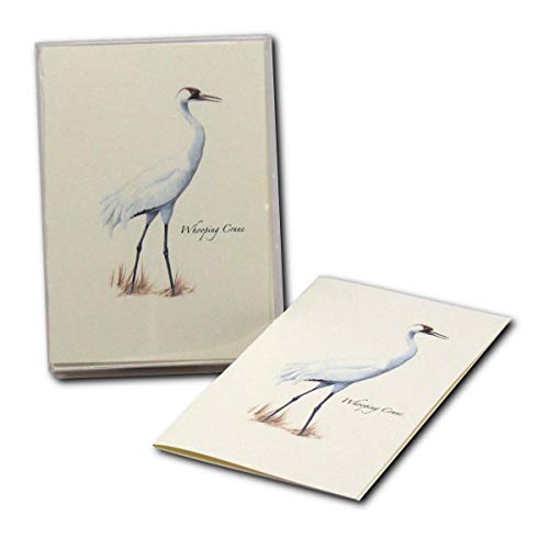 Earth Sky + Water Notizkarten-Set – 8 Karten Mit Artischocken-Motiv, Blanko, Inkl. Umschläge & Box