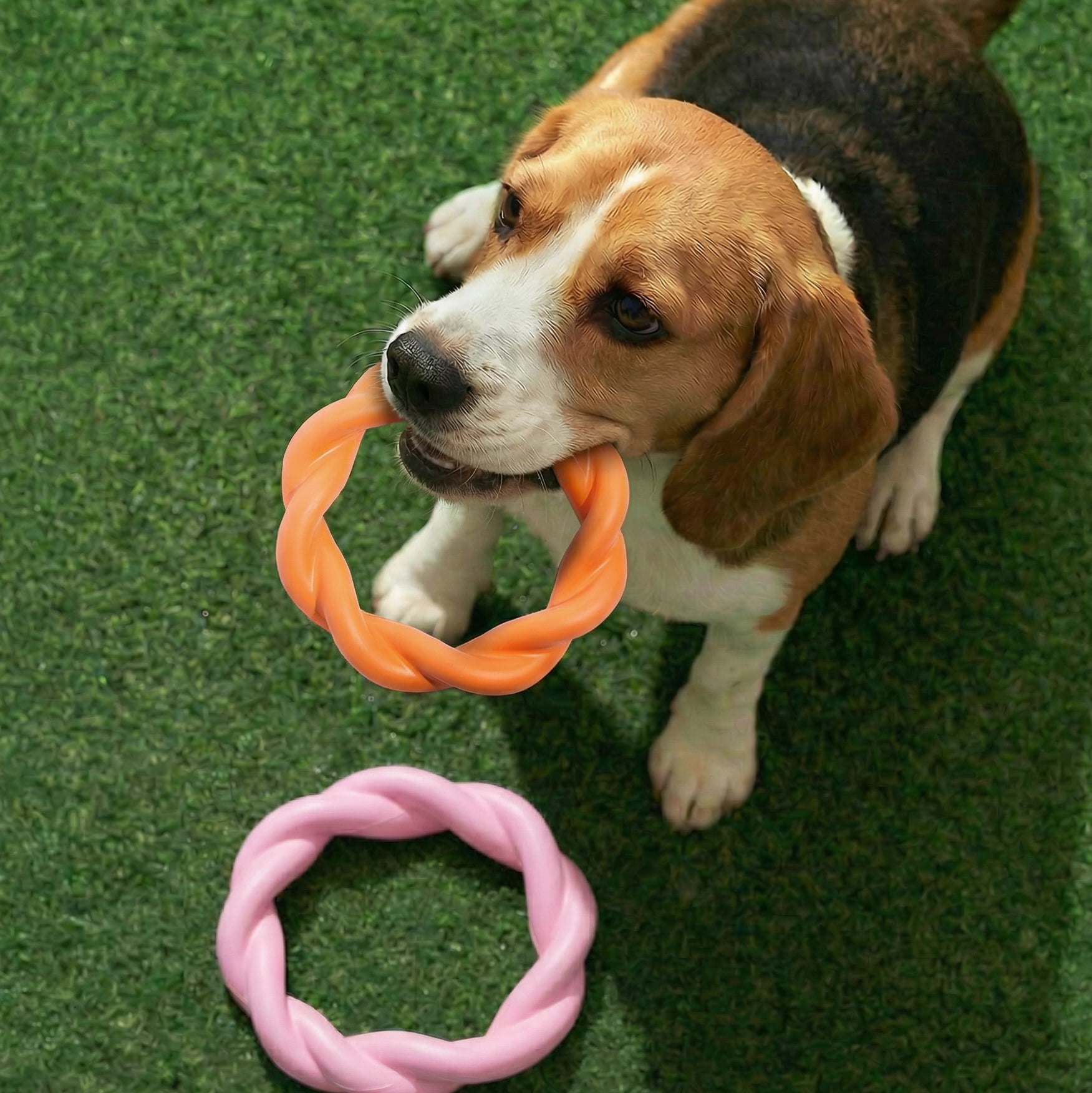 Oodles 2-Piece Durable Rubber Twisted Ring Dog Toy Variety pack, Pink and Orange, One Size