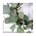 thumbnail image 2 of Eucalyptus Leaves Wreath Metal Polyester Fabric Paper Round Green Wreath 14 Inches For The Front D, 2 of 5