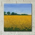 thumbnail image 5 of Epic Art 'Field of Sunflowers I' by Tim O'Toole, Acrylic Glass Wall Art, 12"x12", 5 of 7