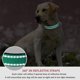 thumbnail image 4 of Correa reflectante para Collar de perro con seguridad ajustable, Collar de nailon para mascotas, cuerda de tracción para mascotas adecuada para mascotas de tamaño pequeño y mediano, 4 of 5