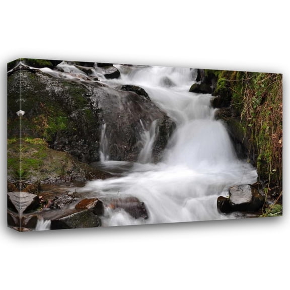 Logan Thomas 24x17 Gallery Wrapped Canvas Wall Art Titled - Stream Falls IV