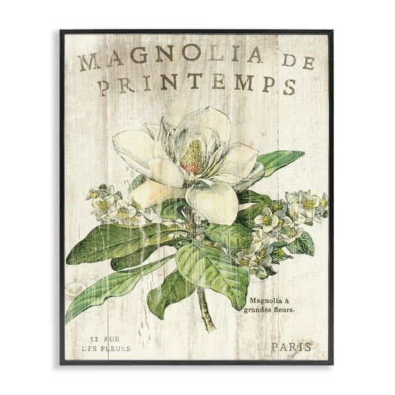 Stupell IndustriesFrench Magnolias In SpringFramed Wall Art by Sue Schlabach